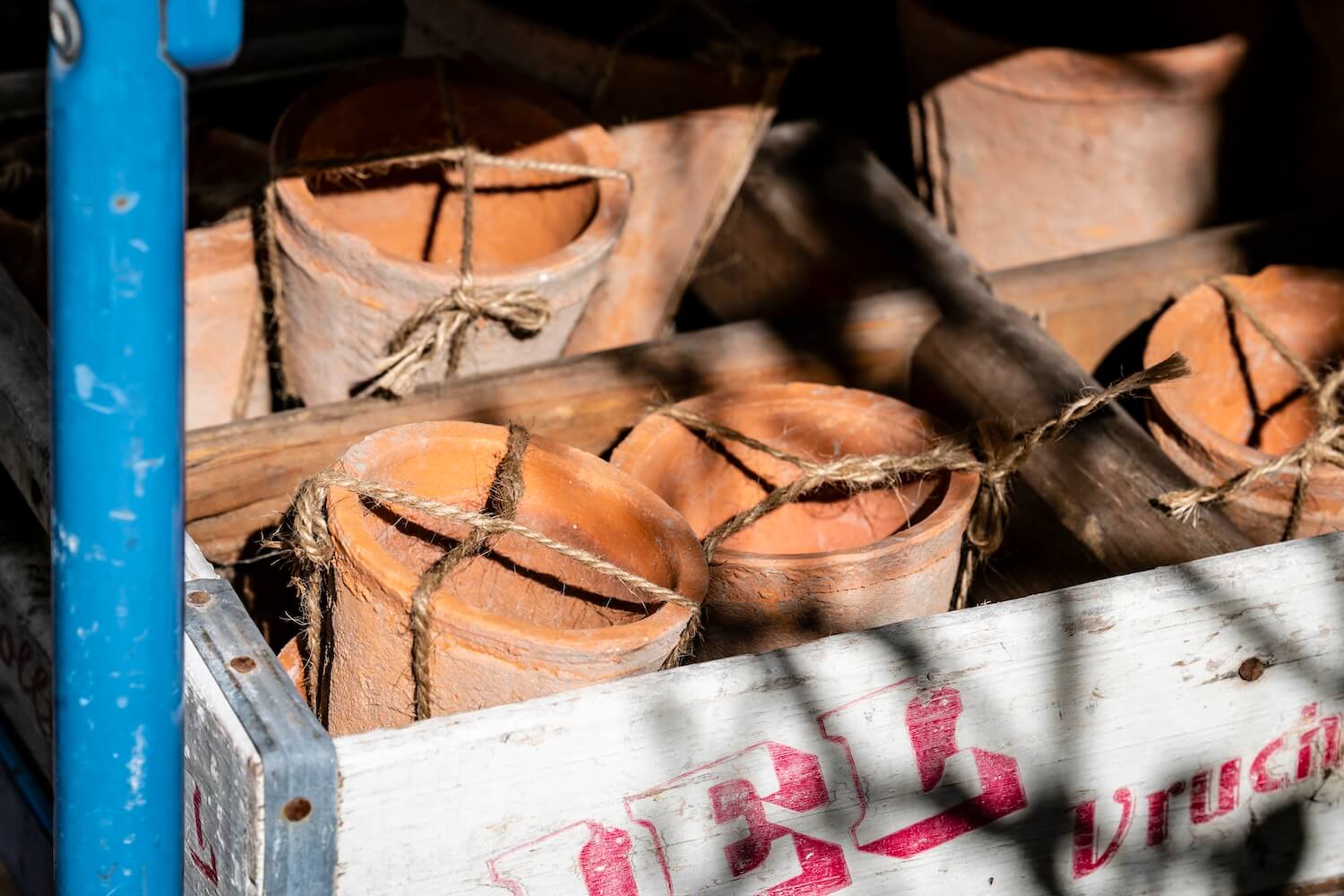 Clay Pot Export